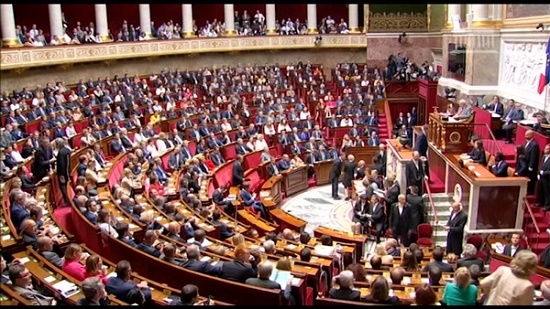 برلمانية فرنسية: باريس تساند القاهرة في حربها ضد الإرهاب