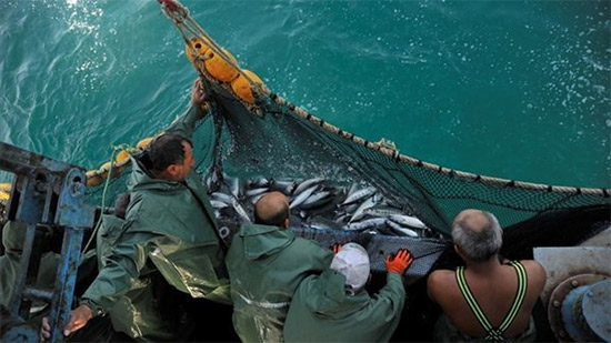 
الزراعة تكشف حقيقة إصدار قرار بوقف الصيد في البحر الأحمر لمدة 7 أشهر
