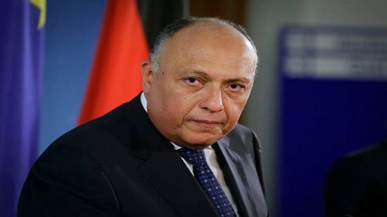 مصر ترحب بالتوقيع بالأحرف الأولى على اتفاق المصالحة فى إفريقيا الوسطى