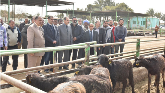 محافظ أسيوط يتفقد مزرعة الثروة الحيوانية لمؤسسة مصر الخير