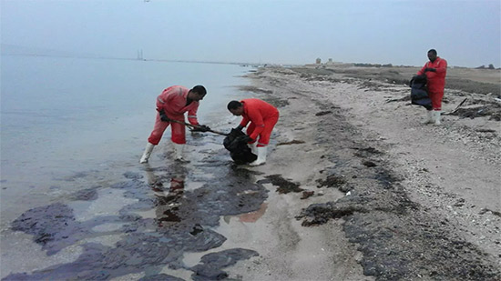 البيئة تتابع إزالة تلوث زيتي بالطور فور تلقي بلاغ من الصيادين