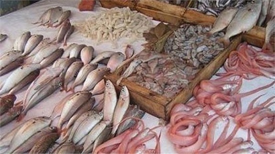 أسعار الأسماك فى سوق الجملة اليوم الأحد 3-3-2019