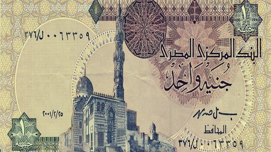 خبير بأسواق المال: الجنية المصري على مدار الشهرين الماضيين يشهد أداء جيدا
