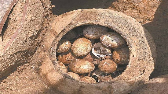 اكتشاف بيض فراخ يعود عمره إلى 2500 عام فى الصين.. اعرف التفاصيل
