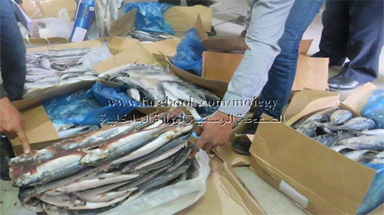 ضبط 31 طن أسماك فاسدة فى أولى أيام الحملة الأمنية المكبرة على محلات الأسماك