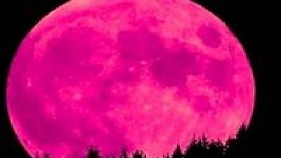 القمر الوردي ظاهرة تحدث مرة واحدة في العام