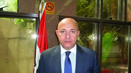 سفير مصر لدى الإمارات: المصريين يتوافدون على السفارة المصرية في أبو ظبي للتصويت على تعديل الدستور