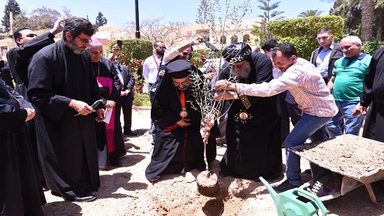 بالصور.. البابا يزرع شجرة السلام في يوم المحبة الأخوية
