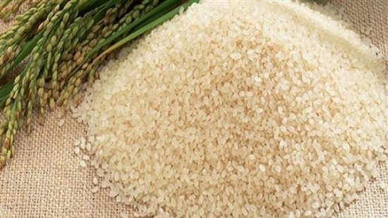 التموين تتلقى 4 عروض لتوريد أرز هندي وصيني وفيتنامي