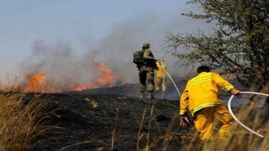  شابان فلسطينيان يحرقان غابة بئيري الإسرائيلية 

