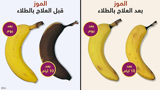 الطلاء الطبيعي الصالح للأكل عند رشه على الموز