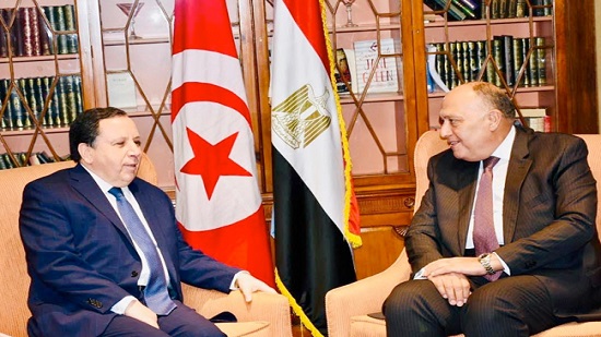 مصر وتونس يؤكدان ضرورة التصدي لتهريب السلاح والمقاتلين في ليبيا
