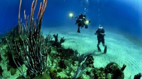 دراسة: زيادة حموضة المحيطات تهدد أنظمة الشعاب المرجانية
