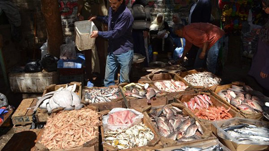 البلطى يسجل 45 جنيها للكيلو.. أسعار الأسماك اليوم 30 -5- 2019