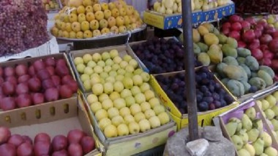 تقرير حكومى: صادرات مصر الزراعية للخضر والفاكهة تتخطى الـ3.5 ملايين طن
