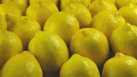بشري سارة . غرفة القاهرة: انخفاض أسعار الليمون خلال أسبوع