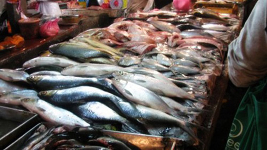أسعار «الأسماك» في سوق العبور اليوم ١٥ يونيو