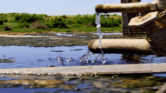الفاو تختار مصر لعرض تجربتها في مجال مكافحة ندرة المياه والجفاف 