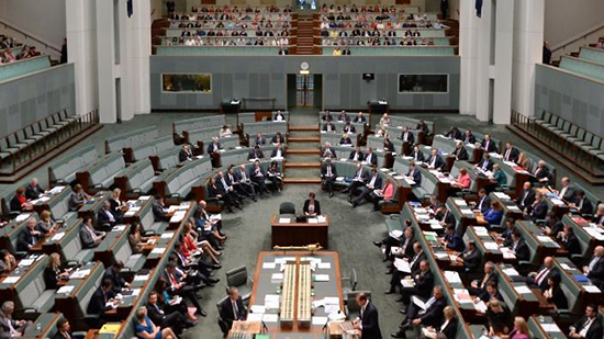 البرلمان الفيدرالى 