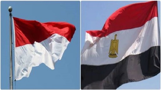 مصر وإندونيسيا تتفقان على إنشاء لجنة مشتركة بين رئاسة وزيري الخارجية
