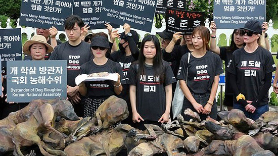 مظاهرات بكوريا الجنوبية تناهض أكل لحوم الكلاب 