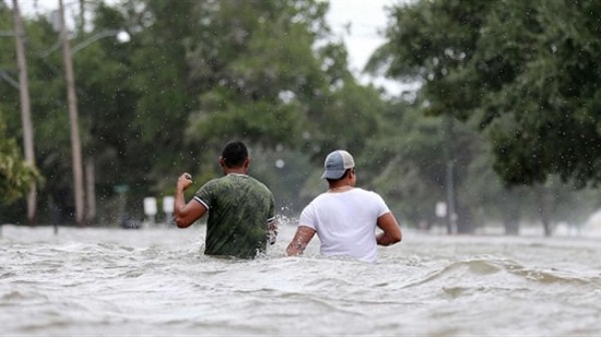 شاهد.. فيضانات تغرق المنازل وسقوط الأشجار على السيارات بسبب إعصار باري