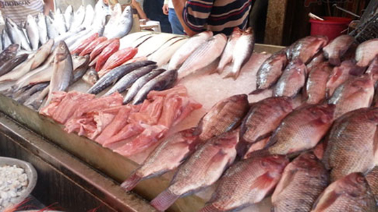 اسعار السمك اليوم 2019/7/20 | والبلطي بـ35 جنيها في سوق العبور