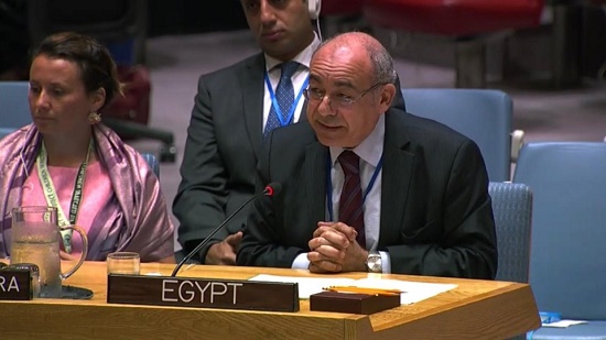 مصر تدعو لتعزيز حماية الأطفال أثناء النزاعات خلال جلسة مجلس الأمن بنيويورك
