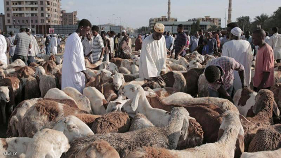الشارع السوداني يشكو من غلاء أسعار الأضاحي