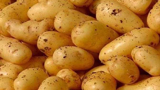 البطاطس بـ3 جنيهات.. أسعار الخضراوات والفاكهة اليوم الجمعة 16-8- 2019