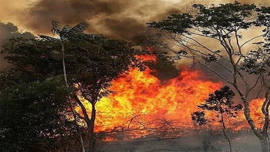 فرنسا: سنعمل على مبادرات ملموسة في قمة الـ7 بشأن حرائق الأمازون

