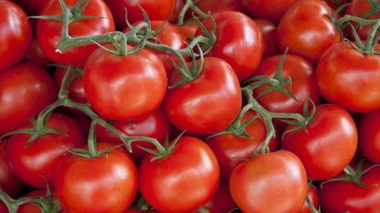 الطماطم من 2 إلى 4 جنيهات.. أسعار الخضراوات والفاكهة اليوم الجمعة 23-8-2019