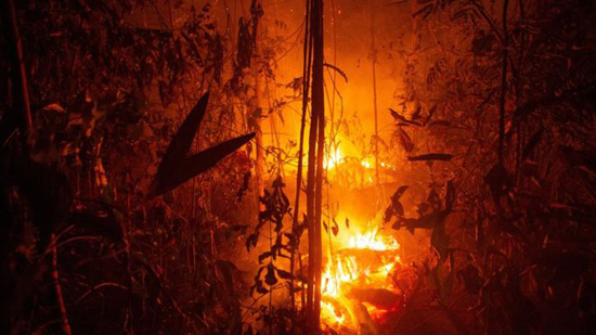 عملية واسعة في البرازيل لمواجهة حرائق غابات الأمازون