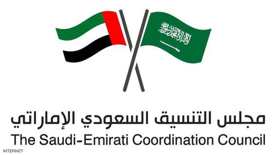 7 لجان لتحقيق التكامل السعودي الإماراتي في 21 مجالا حيويا