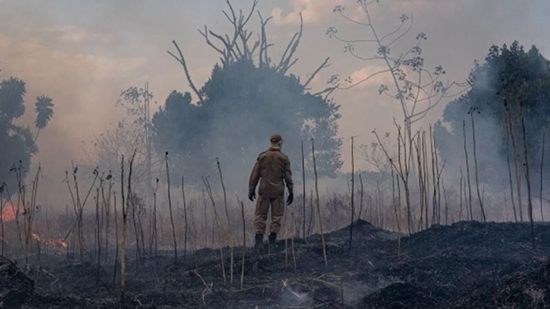 بعد الحرائق الأخيرة.. كم تبقى من غابات الأمازون؟
