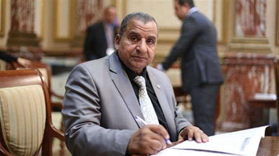  النائب عبد الحميد كمال، عضو مجلس النواب