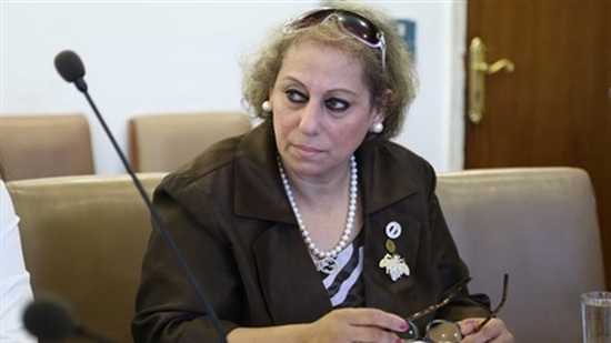مرفت الكسان، عضو لجنة الخطة والموازنة