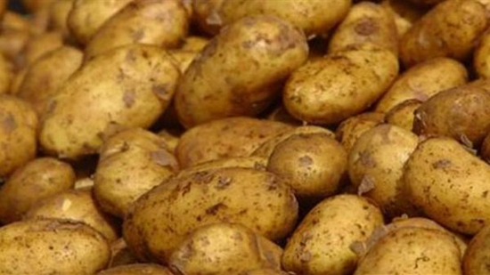 مظلم وبارد .. 5 نصائح لتخزين البطاطس بطريقة صحية