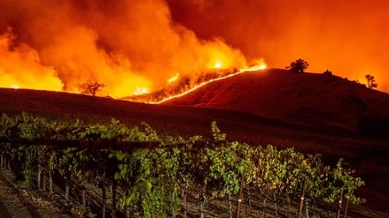 شاهد.. فيديو صادم لـ مواطني كاليفورنيا أثناء هروبهم جراء حرائق الغابات
