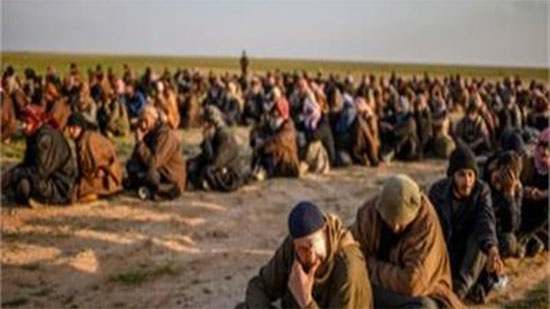 تركيا: سنعيد الدواعش فى الشمال السورى إلى بلادهم الأوربية