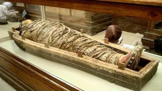عظام المصريين القدماء