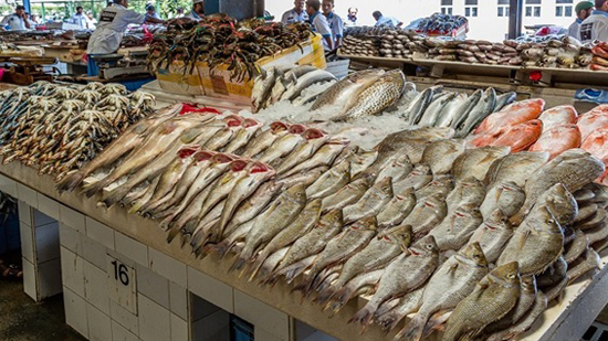 أسعار الأسماك اليوم السبت 16 نوفمبر 2019