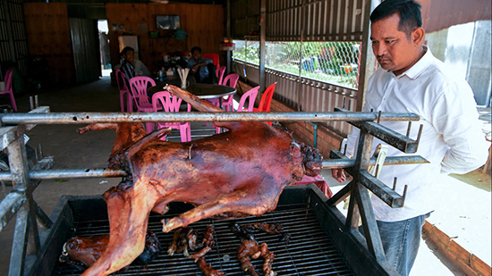 مطعم في كمبوديا يقدم لحم الكلاب المشوية لزبائنه