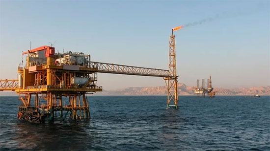 البترول تعلن نتائج مزايدة البحر الأحمر خلال أيام