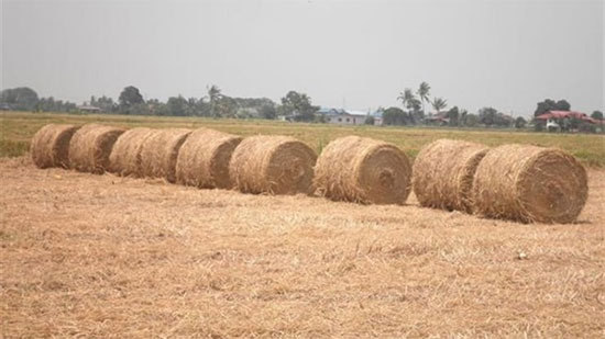 وزير الزراعة: جمعنا 2.9 مليون طن قش أرز ضمن منظومة تدوير المخلفات