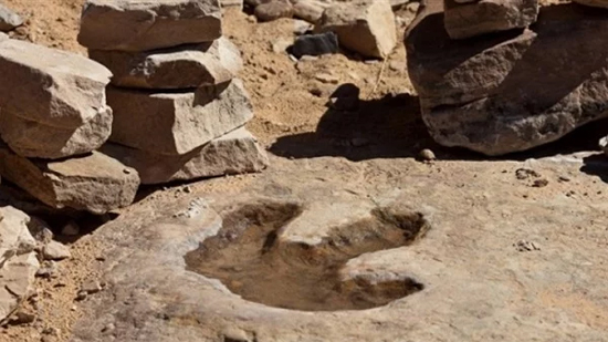 اكتشاف قطع أثرية تعود لأكثر من ألفي عام شرق الصين