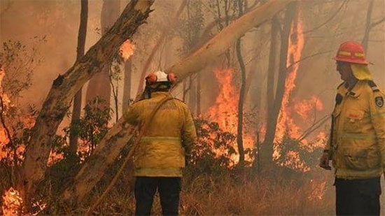إعلان حالة الطوارئ في أستراليا بسبب الحرائق