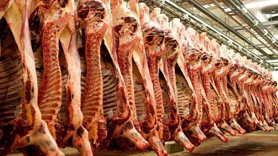 تشديدات من تموين المنيا علي اللحوم قبل أعياد الميلاد 
