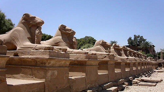  وزارة الآثار تصدر بياناً رسمياً عن نقل تماثيل طريق الكباش إلي ميدان التحرير  
