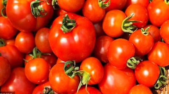 شعبة الخضروات: لا زيادة فى أسعار الطماطم وشائعات الارتفاع هدفها ضرب السوق